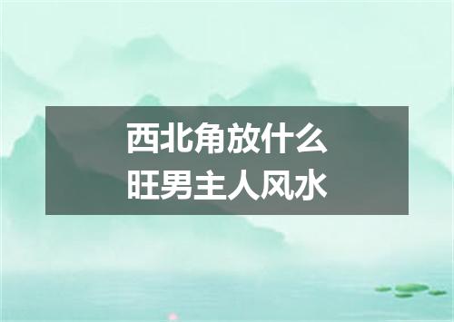 西北角放什么旺男主人风水