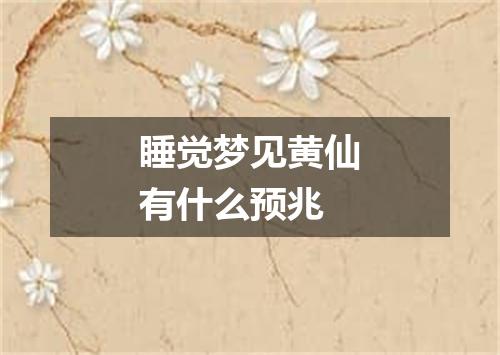 睡觉梦见黄仙有什么预兆
