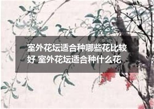 室外花坛适合种哪些花比较好 室外花坛适合种什么花