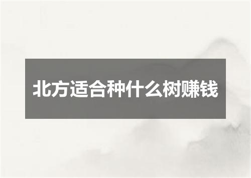 北方适合种什么树赚钱