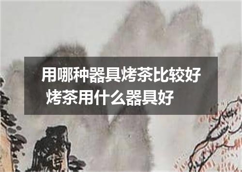 用哪种器具烤茶比较好 烤茶用什么器具好