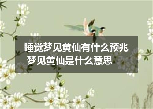 睡觉梦见黄仙有什么预兆 梦见黄仙是什么意思
