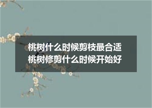 桃树什么时候剪枝最合适 桃树修剪什么时候开始好