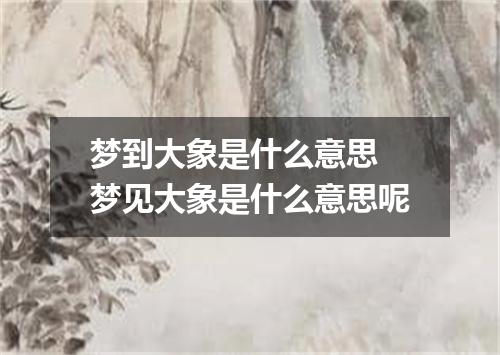 梦到大象是什么意思 梦见大象是什么意思呢
