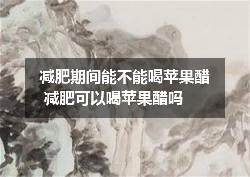 减肥期间能不能喝苹果醋 减肥可以喝苹果醋吗