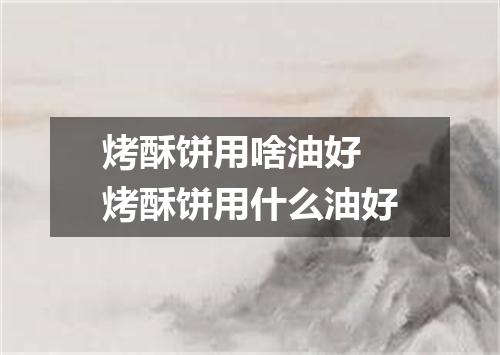 烤酥饼用啥油好 烤酥饼用什么油好