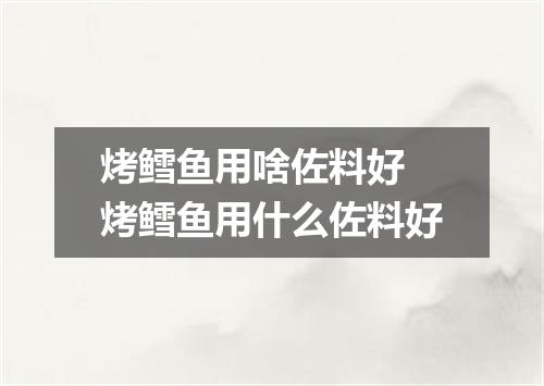 烤鳕鱼用啥佐料好 烤鳕鱼用什么佐料好