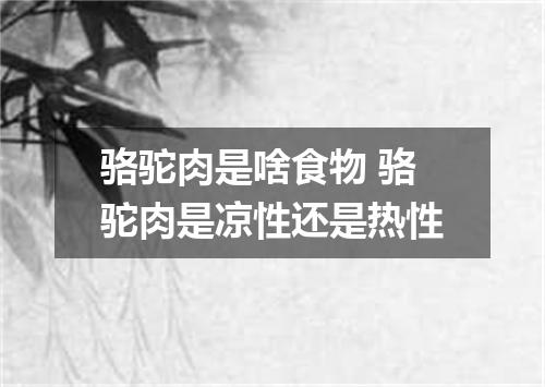 骆驼肉是啥食物 骆驼肉是凉性还是热性