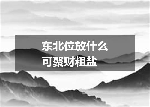 东北位放什么可聚财粗盐