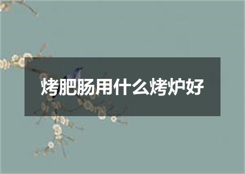 烤肥肠用什么烤炉好