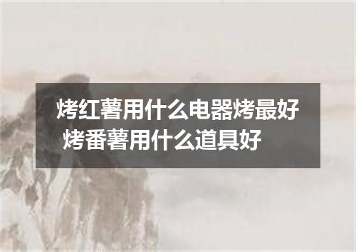 烤红薯用什么电器烤最好 烤番薯用什么道具好