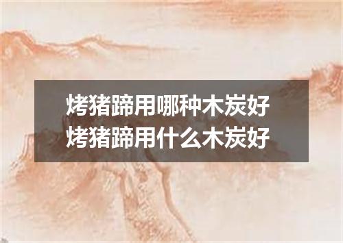 烤猪蹄用哪种木炭好 烤猪蹄用什么木炭好