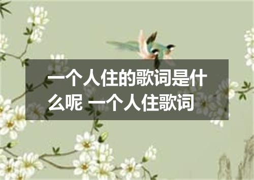 一个人住的歌词是什么呢 一个人住歌词