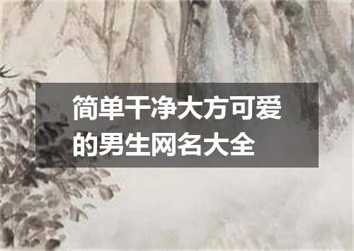 简单干净大方可爱的男生网名大全