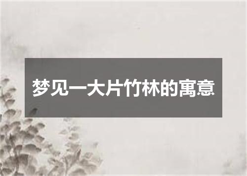 梦见一大片竹林的寓意