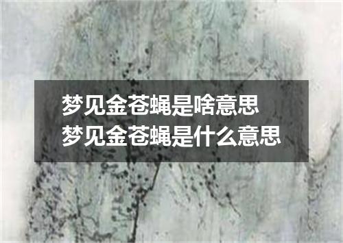 梦见金苍蝇是啥意思 梦见金苍蝇是什么意思