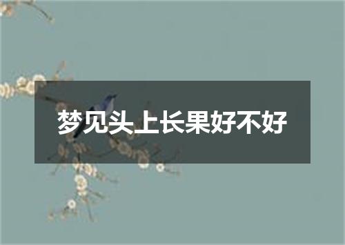 梦见头上长果好不好