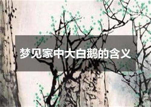 梦见家中大白鹅的含义