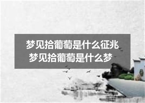梦见拾葡萄是什么征兆 梦见拾葡萄是什么梦