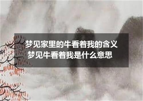 梦见家里的牛看着我的含义 梦见牛看着我是什么意思
