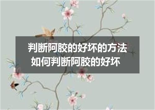 判断阿胶的好坏的方法 如何判断阿胶的好坏