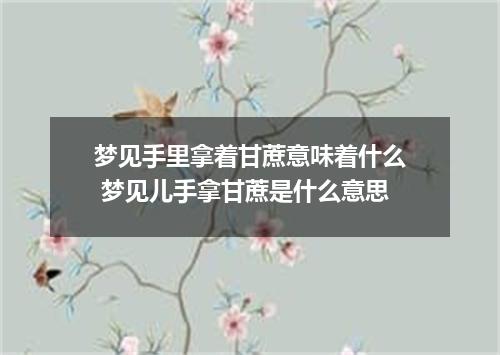 梦见手里拿着甘蔗意味着什么 梦见儿手拿甘蔗是什么意思