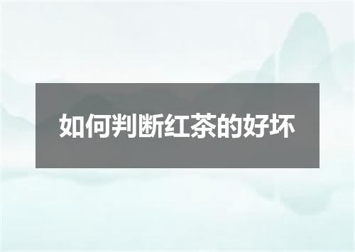 如何判断红茶的好坏