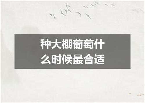 种大棚葡萄什么时候最合适