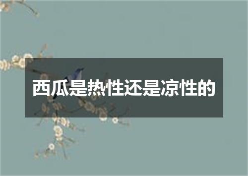 西瓜是热性还是凉性的