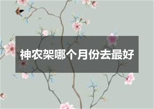 神农架哪个月份去最好
