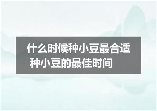 什么时候种小豆最合适 种小豆的最佳时间