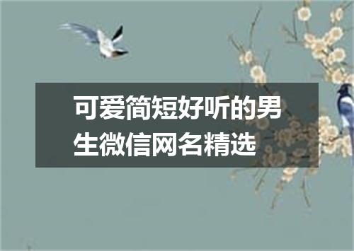 可爱简短好听的男生微信网名精选