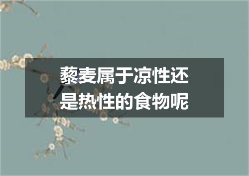 藜麦属于凉性还是热性的食物呢