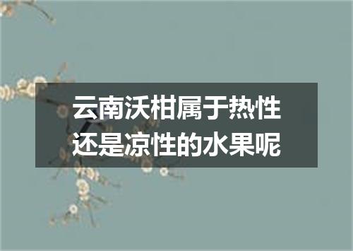 云南沃柑属于热性还是凉性的水果呢