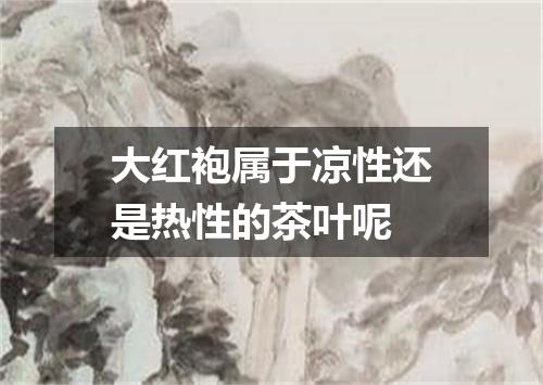 大红袍属于凉性还是热性的茶叶呢