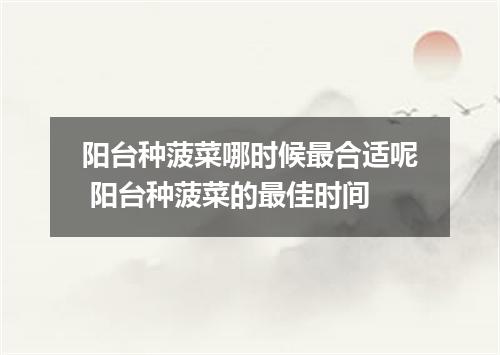 阳台种菠菜哪时候最合适呢 阳台种菠菜的最佳时间