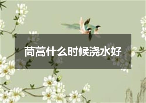 茼蒿什么时候浇水好