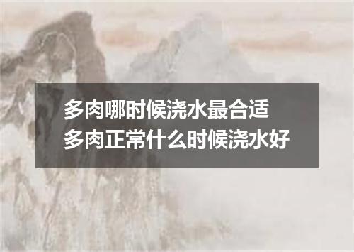 多肉哪时候浇水最合适 多肉正常什么时候浇水好