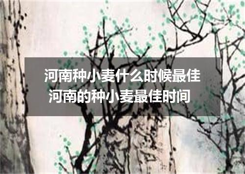 河南种小麦什么时候最佳 河南的种小麦最佳时间