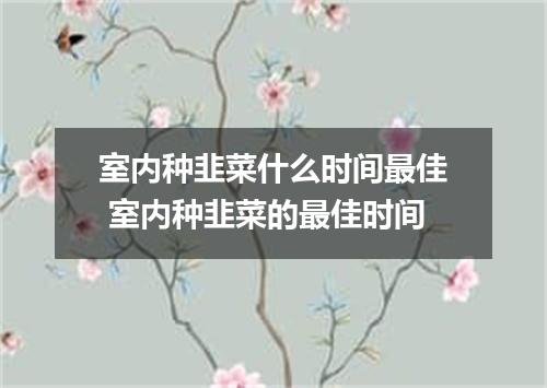 室内种韭菜什么时间最佳 室内种韭菜的最佳时间