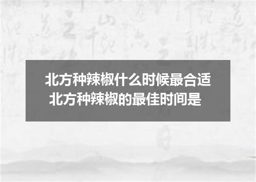 北方种辣椒什么时候最合适 北方种辣椒的最佳时间是