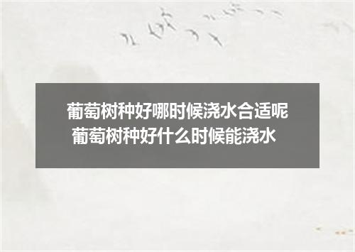 葡萄树种好哪时候浇水合适呢 葡萄树种好什么时候能浇水
