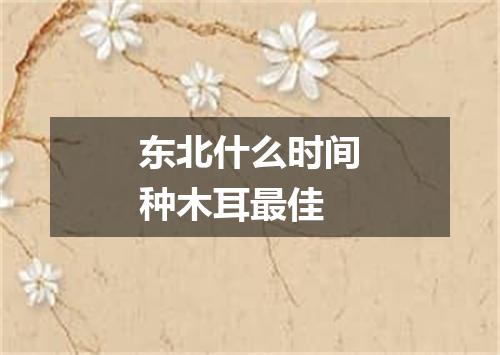 东北什么时间种木耳最佳