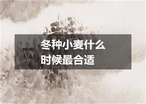 冬种小麦什么时候最合适