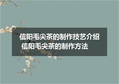 信阳毛尖茶的制作技艺介绍 信阳毛尖茶的制作方法