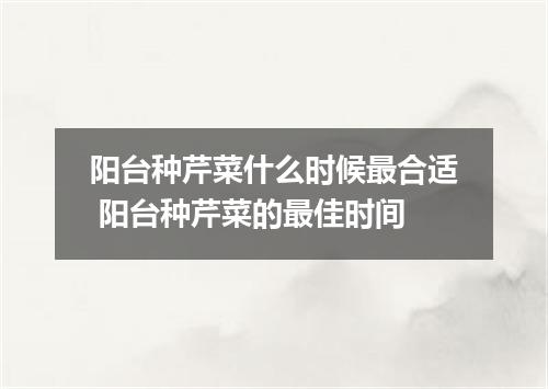 阳台种芹菜什么时候最合适 阳台种芹菜的最佳时间