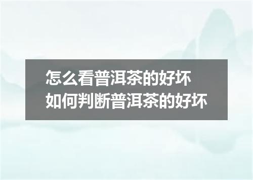 怎么看普洱茶的好坏 如何判断普洱茶的好坏