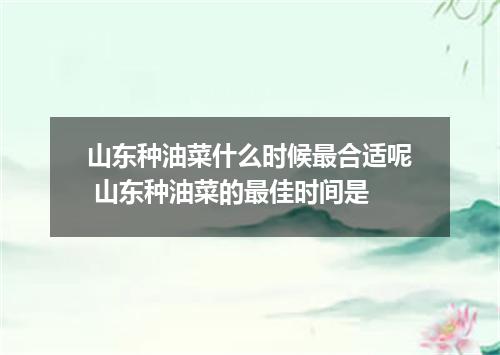 山东种油菜什么时候最合适呢 山东种油菜的最佳时间是