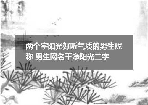 两个字阳光好听气质的男生昵称 男生网名干净阳光二字