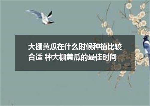 大棚黄瓜在什么时候种植比较合适 种大棚黄瓜的最佳时间